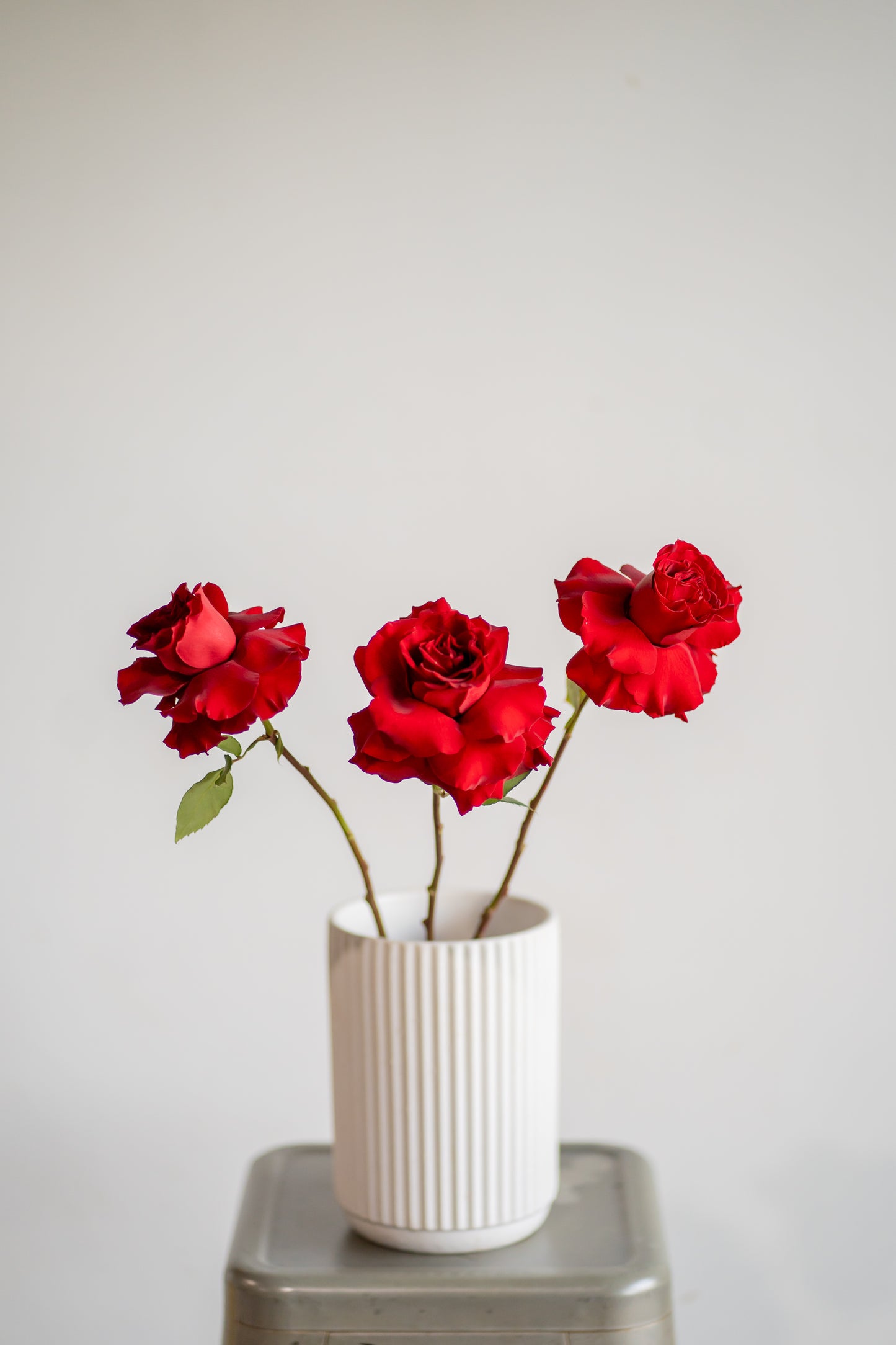 Red Roses Market Bunch
