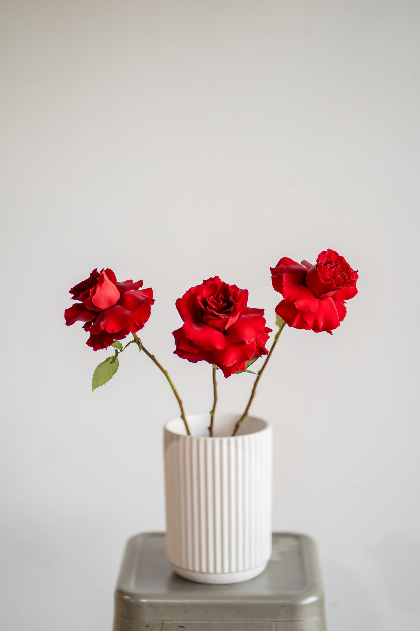 Red Roses Market Bunch