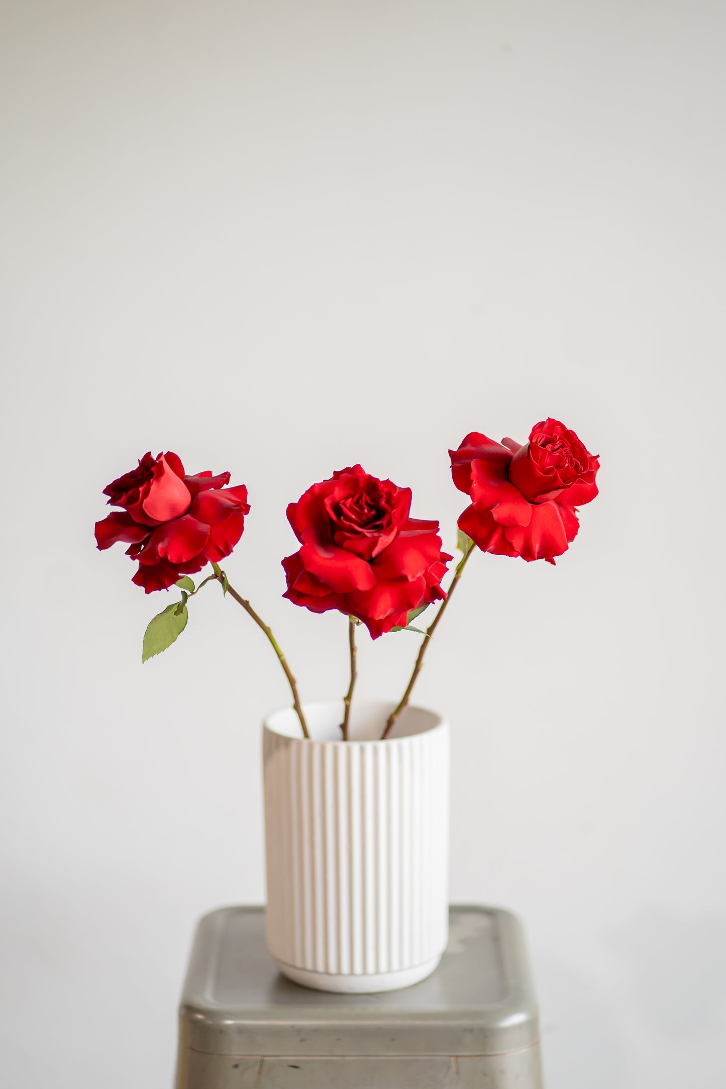 Red Roses Market Bunch
