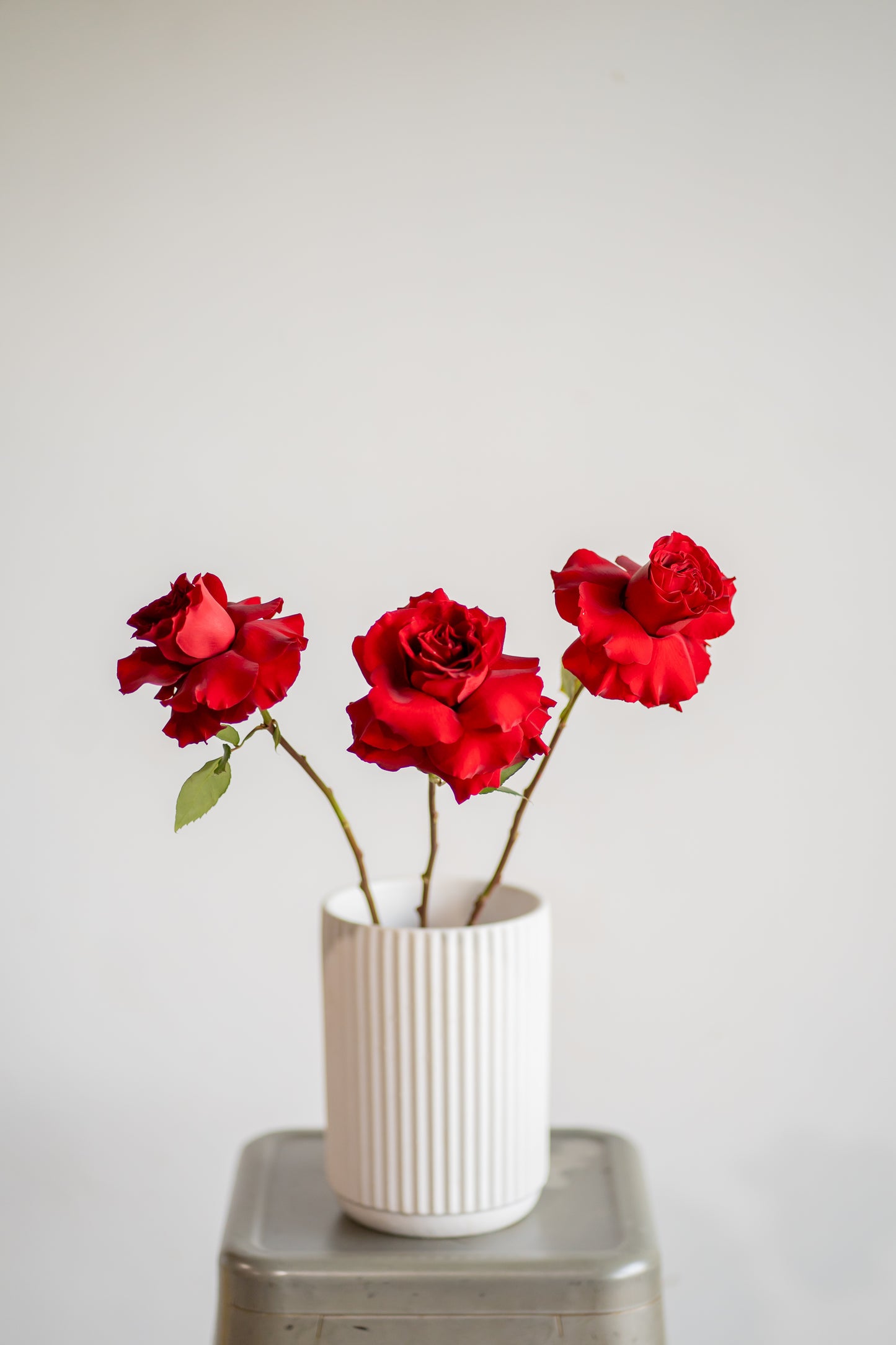 Red Roses Market Bunch