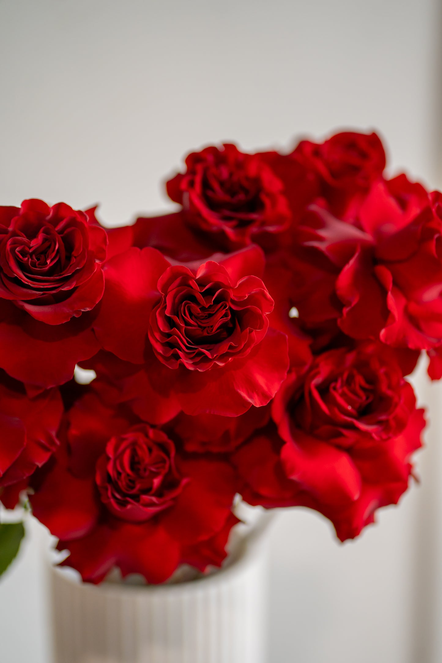 Red Roses Market Bunch