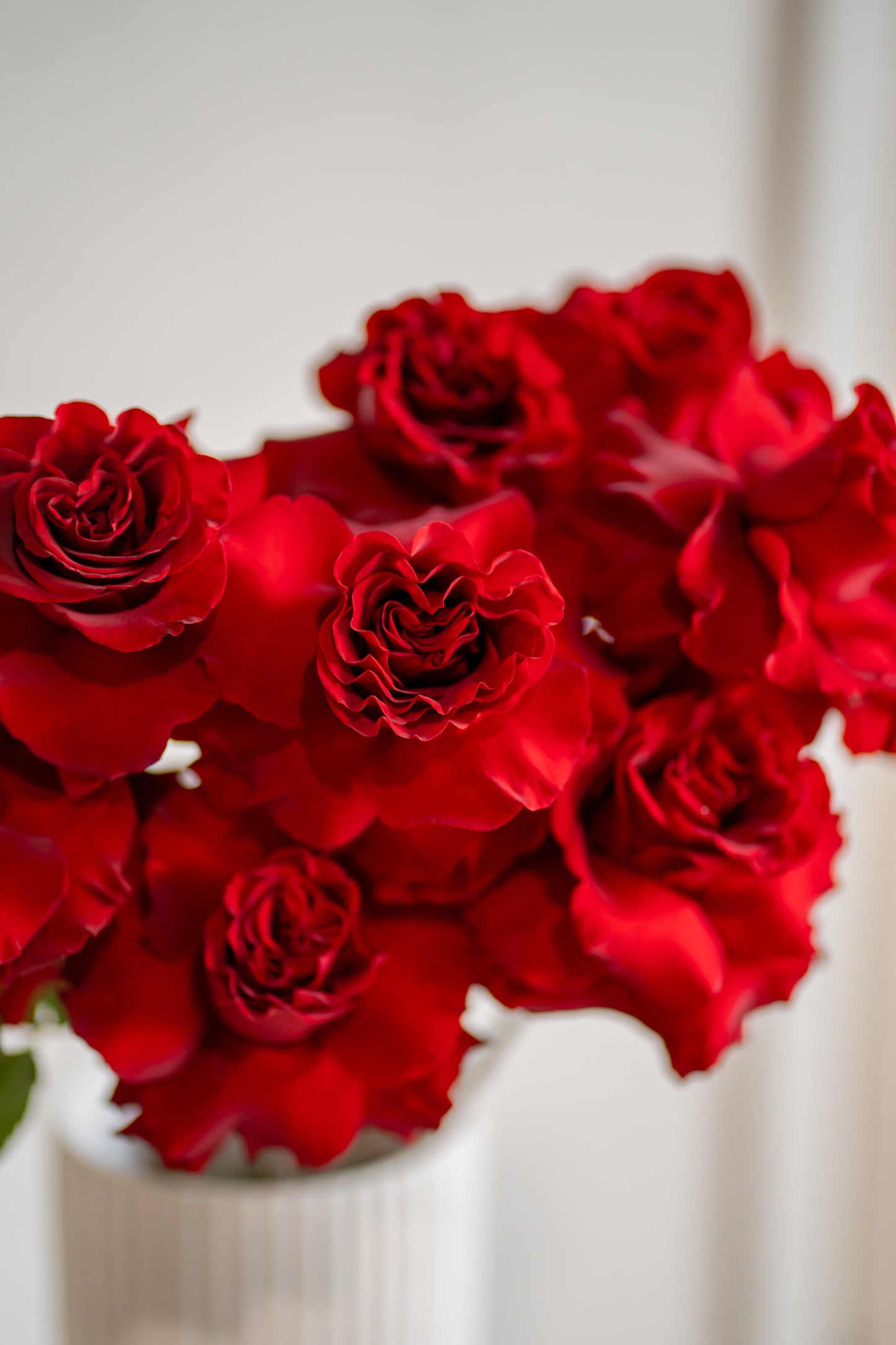 Red Roses Market Bunch