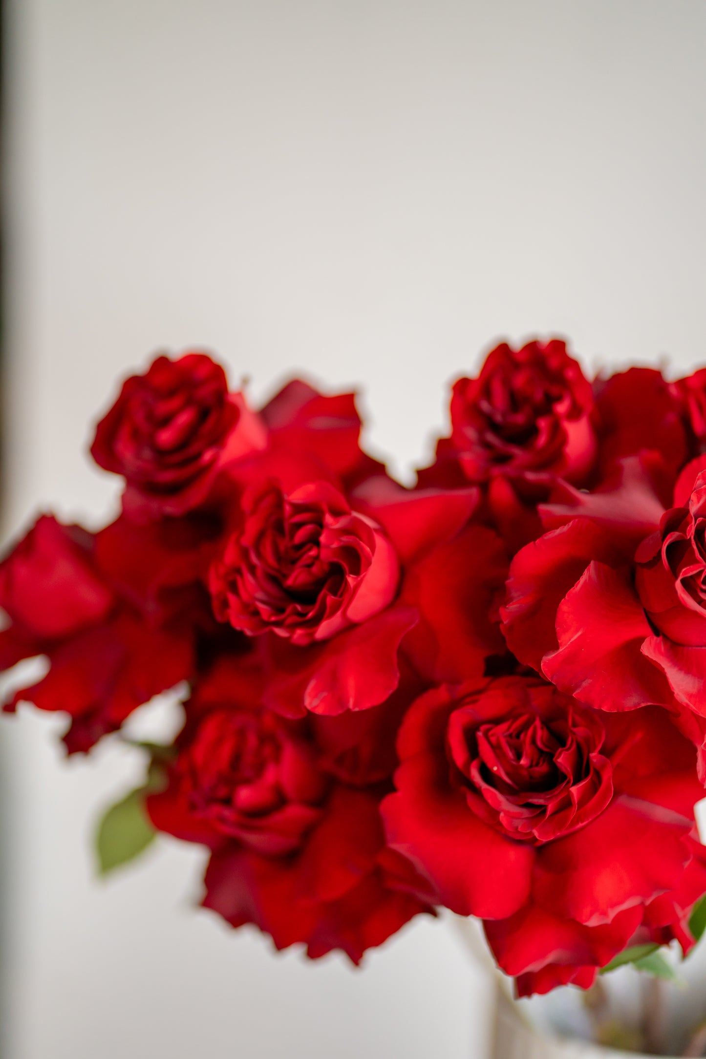 Red Roses Market Bunch