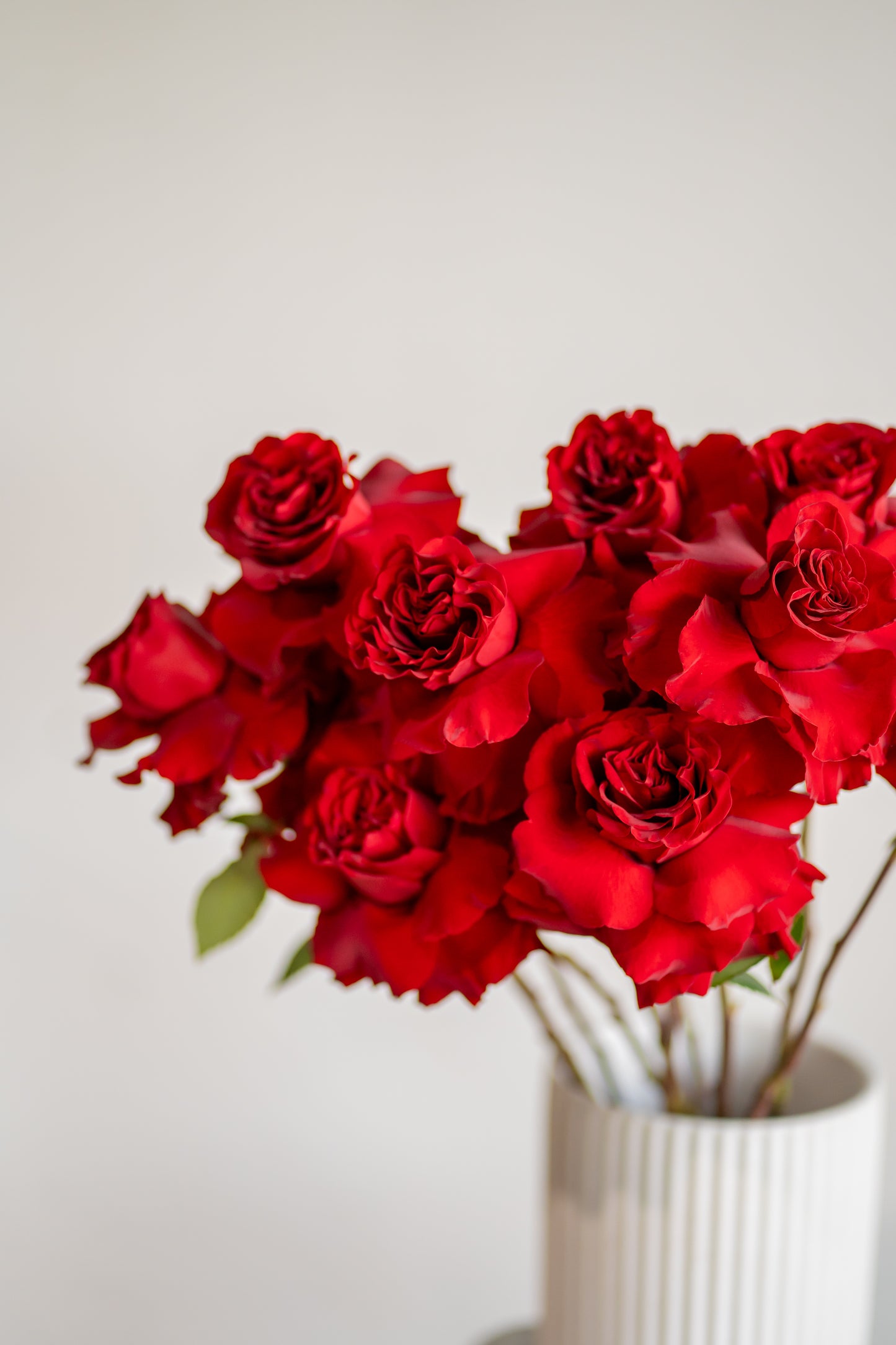 Red Roses Market Bunch