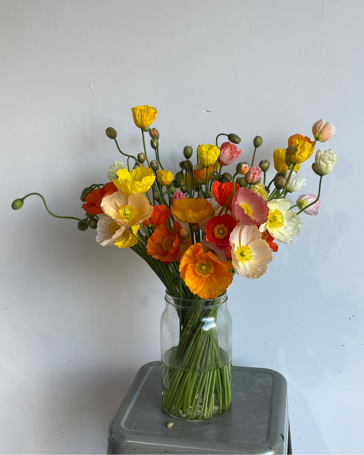 Local Poppies Market Bunch